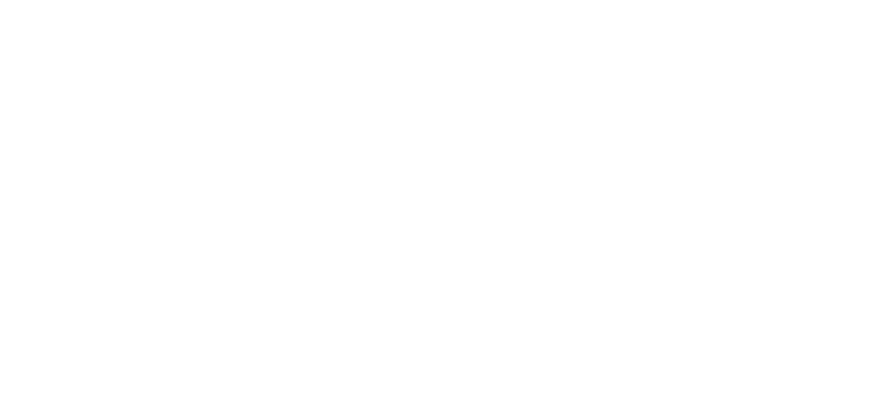 SF IndieFest Official Selection